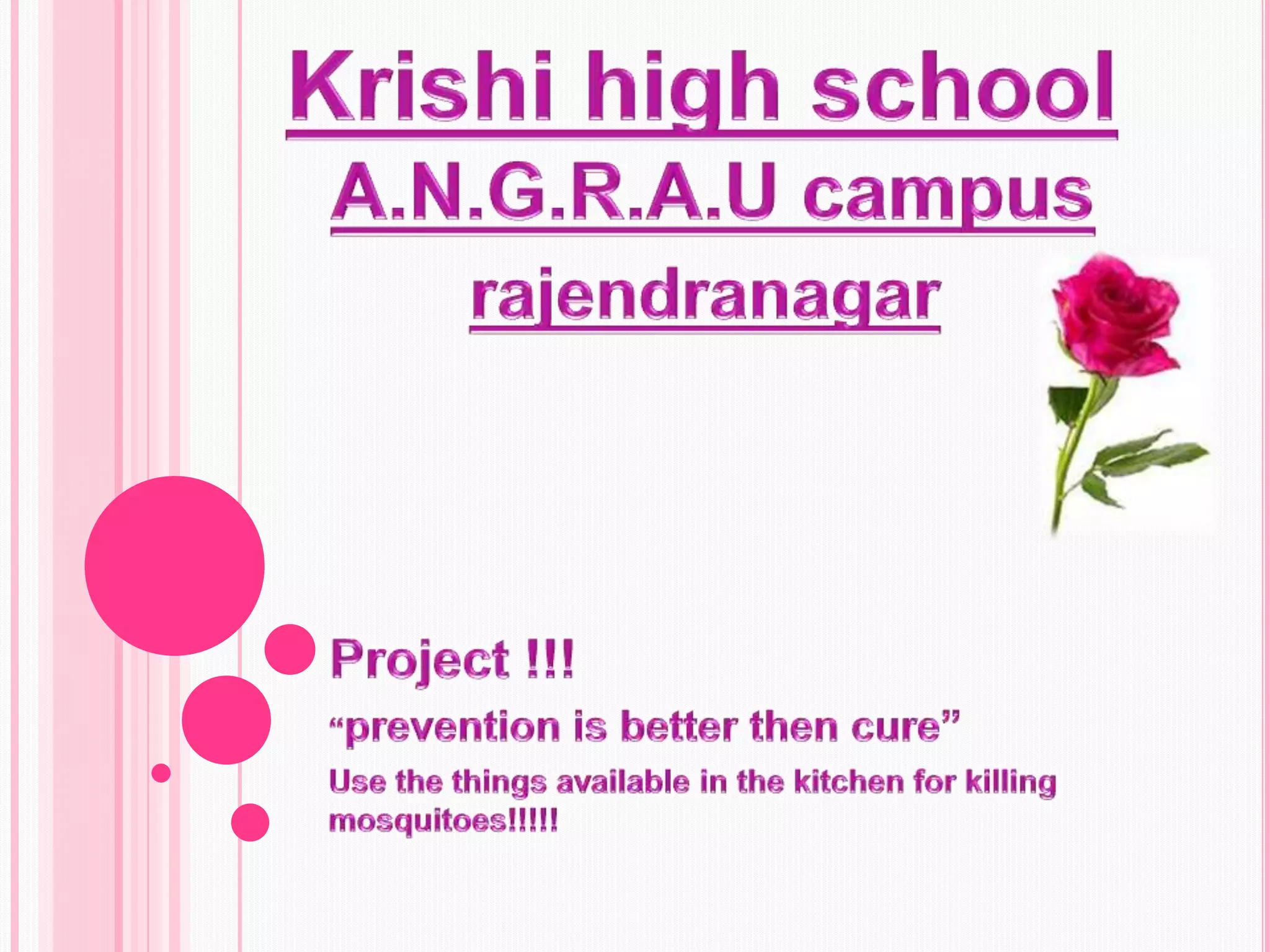 Project !!!“prevention is better then cure”Use the things available in the kitchen for killing mosquitoes!!!!!Krishi high schoolA.N.G.R.A.U campusrajendranagar