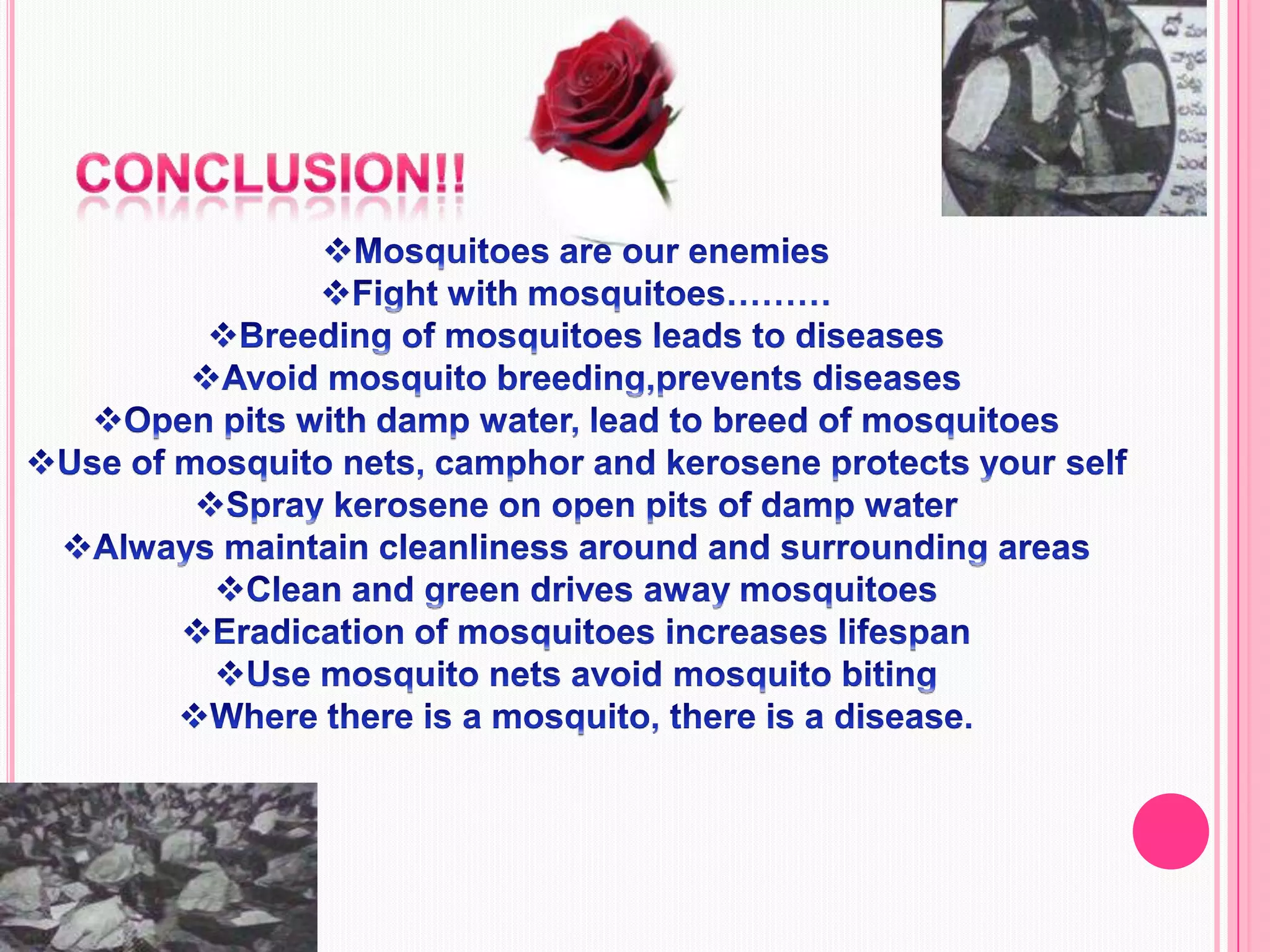 Conclusion!!Mosquitoes are our enemies