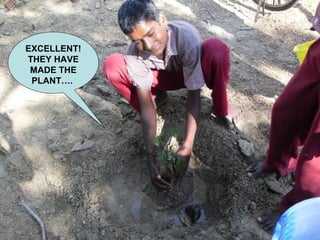 EXCELLENT!
THEY HAVE
MADE THE
PLANT….