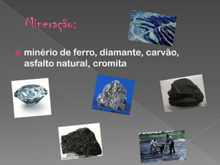 

minério de ferro, diamante, carvão,
asfalto natural, cromita

 