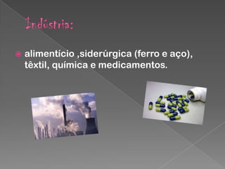 

alimentício ,siderúrgica (ferro e aço),
têxtil, química e medicamentos.

 