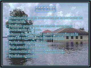 EFECTOSDisminución de la intensidad de la corriente de Humboldt.Pérdidas pesqueras en ciertas especies e incremento en otras.Intensa formación de nubes generadas en la zona de convergencia intertropical.Periodos muy húmedos.Baja presión atmosférica.Generación de huaicos (Aluviones).Pérdidas agrícolas.