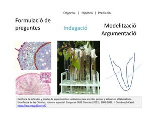 Modelització
Argumentació
Indagació
Formulació de
preguntes
Escritura de artículos y diseño de experimentos: andamios para escribir, pensar y actuar en el laboratorio.
Enseñanza de las Ciencias, número especial. Congreso ENSE Ciencias (2013), 1085-1089. J. Domènech-Casal.
https://wp.me/p25seH-dD
Objectiu | Hipòtesi | Predicció
 