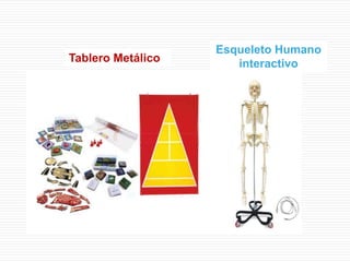 Tablero Metálico
Esqueleto Humano
interactivo
 
