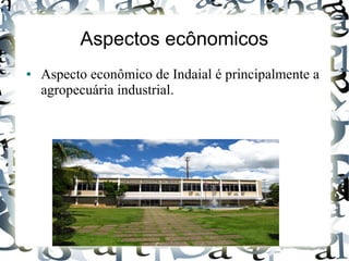 Aspectos ecônomicos
● Aspecto econômico de Indaial é principalmente a
agropecuária industrial.
 