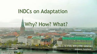 INDCs on Adaptation
Why? How? What?
d_pullani@yahoo.com
Presentation on 8 July 2015 at TWG workshop
Mbabane, Swaziland
Deepa Pullanikkatil (PhD)
CANGO
 