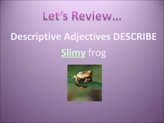 Descriptive Adjectives DESCRIBE Slimy   frog 