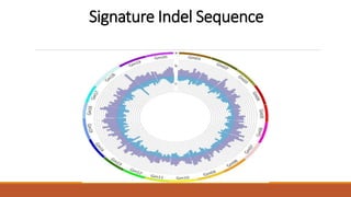 Conserved Sequence INDELS | PPTX