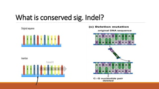 Conserved Sequence INDELS | PPTX