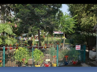 visited a number of schools to generate interest in having Herbal Garden in their campus area. A pre decided number of schools, which show willingness and interest in the issue, were selected.