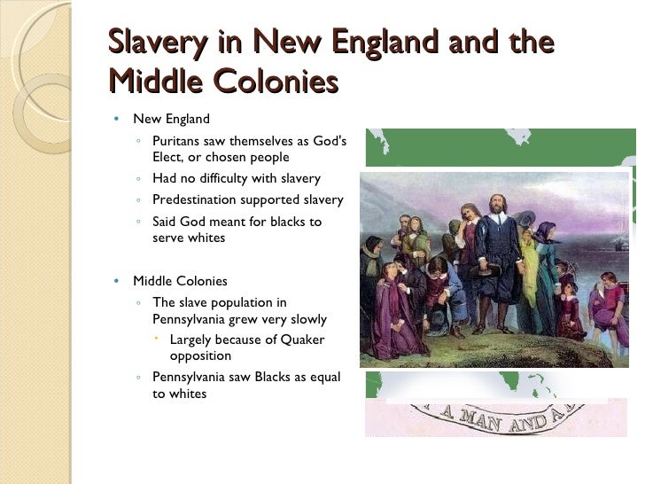 how the new england colonists altered the new england enivironment Environment in new england isn't it amazing to think about the new england colony i will fill you in. how the new england colonists altered the new england enivironment Environment in new england isn't it amazing to think about the new england colony i will fill you in.