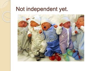 Compiling Independence Independence Assembly | PPTX