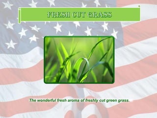 The wonderful fresh aroma of freshly cut green grass.
 