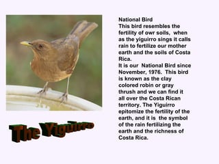 Celebrating Costa Ricas Independence day . | PPT