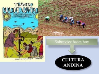 CULTURA
ANDINA
Sobrevive hasta hoy
 