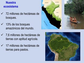 Nuestra
ecosistema
 72 millones de hectáreas de
bosques.
 13% de los bosques
amazónicos del mundo.
 7,6 millones de hectáreas de
tierras con aptitud agrícola.
 17 millones de hectáreas de
tierras para pastos.
 