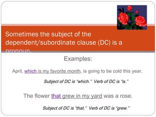 Examples:
April, which is my favorite month, is going to be cold this year.
Subject of DC is “which.” Verb of DC is “is.”
The flower that grew in my yard was a rose.
Subject of DC is “that.” Verb of DC is “grew.”
Sometimes the subject of the
dependent/subordinate clause (DC) is a
pronoun.
 