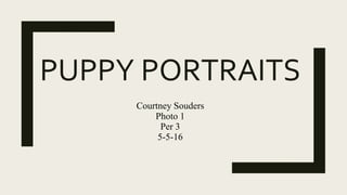 PUPPY PORTRAITS
Courtney Souders
Photo 1
Per 3
5-5-16
 