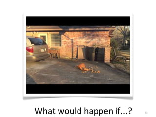 What	
  would	
  happen	
  if...? 15
 