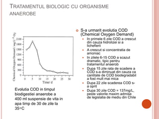 TRATAMENTUL BIOLOGIC CU ORGANISME
ANAEROBE
 S-a urmarit evolutia COD
(Chemical Oxygen Demand)
 In primele 6 zile COD a crescut
din cauza hidrolizei si a
lichefierii
 A crescut si concentratia de
amoniac
 In zilele 6-15 COD a scazut
dramatic, tipic pentru
tratamentul anaerob
 Dupa 15 zile rata de scadere a
COD s-a diminuat din cauza ca
cantitate de COD biodegradabil
a fost mult mai mica
 Dupa 22 zile scaderea COD s-
a oprit
 Dupa 30 zile COD = 137mg/L,
peste valorile maxim admise
de legislatia de mediu din Chile
Evolutia COD in timpul
biodigestiei anaerobe a
400 ml suspensie de vita in
apa timp de 30 de zile la
35 ͦ C
 