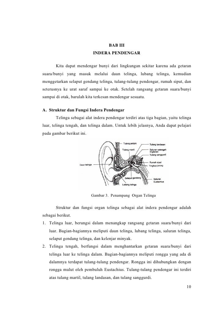 Alat Indera