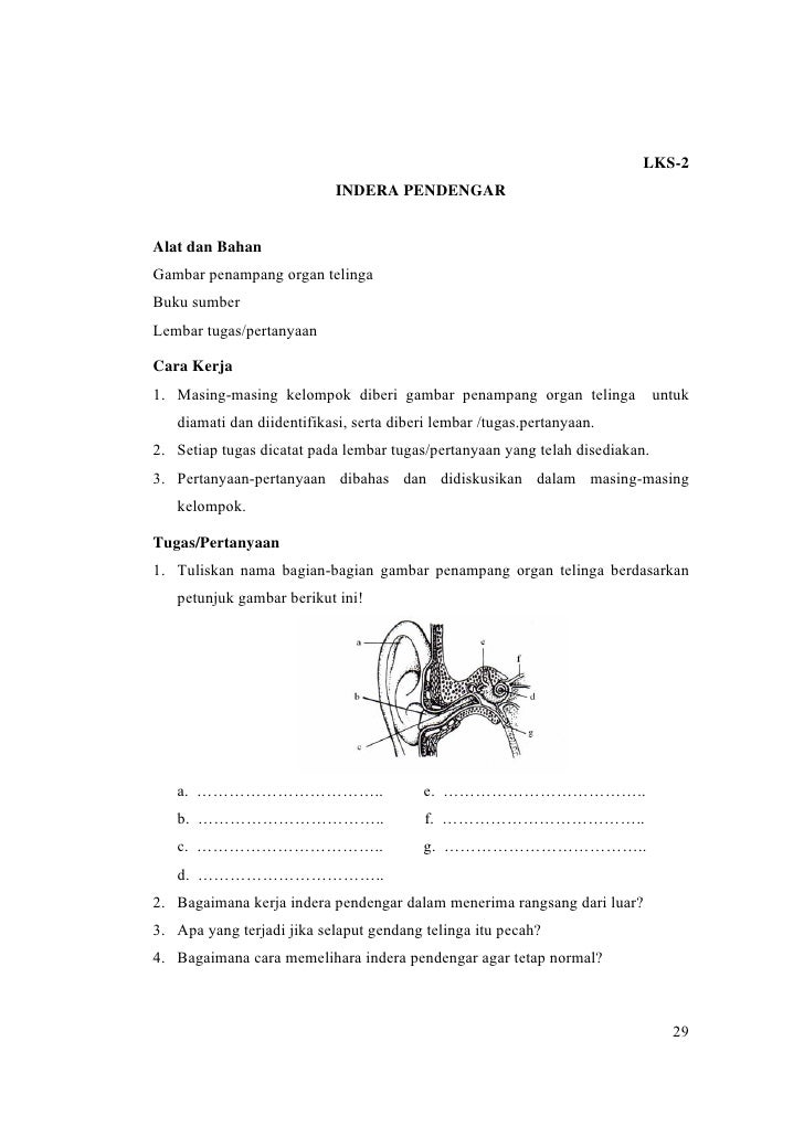 Alat Indera