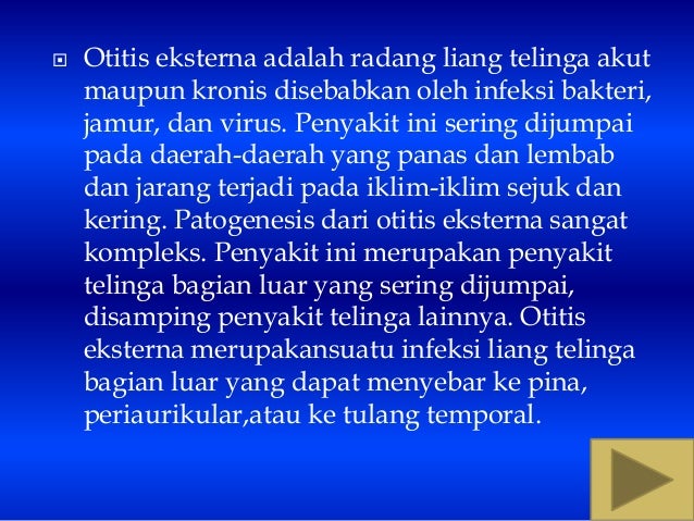 Indera manusia telinga biologi 