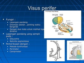 VViissuuss ppeerriiffeerr 
 FFuunnggssii :: 
• LLaappaannggaann ppaannddaanngg 
• OOrriieennttaassii sseekkiittaarr ,, ppeennttiinngg wwaakkttuu 
bbeerrggeerraakk 
• DDeennggaann dduuaa mmaattaa uunnttuukk mmeelliihhaatt ttiiggaa 
ddiimmeennssii 
 LLaappaannggaann ppaannddaanngg yyaanngg sseemmppiitt 
ppaaddaa :: 
• GGllaauuccoommaa 
• RReettiinniittiiss ppiiggmmeennttoossaa 
 PPeemmeerriikkssaaaann ddeennggaann :: 
• MMeettooddee kkoonnffrroonnttaassii 
• PPeerriimmeetteerr 
• CCaammppiimmeetteerr 
 