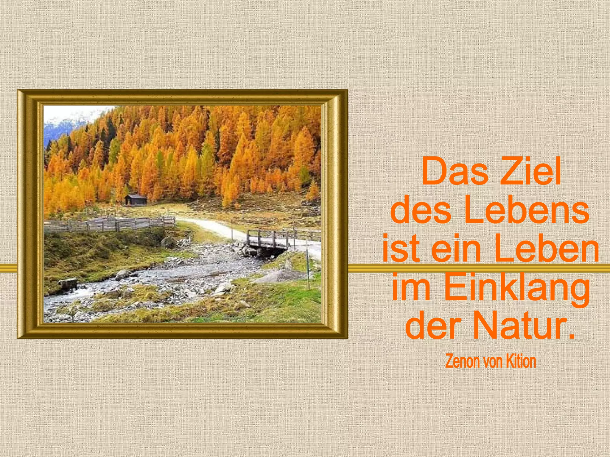 In der natur_1_