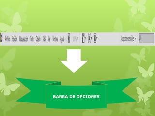 BARRA DE OPCIONES