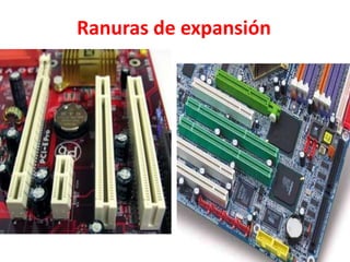 Ranuras de expansión
 