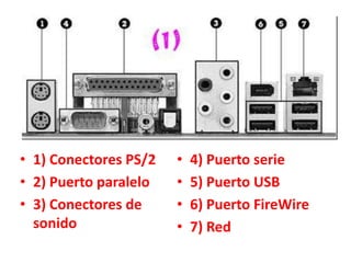 • 1) Conectores PS/2   •   4) Puerto serie
• 2) Puerto paralelo   •   5) Puerto USB
• 3) Conectores de     •   6) Puerto FireWire
  sonido               •   7) Red
 
