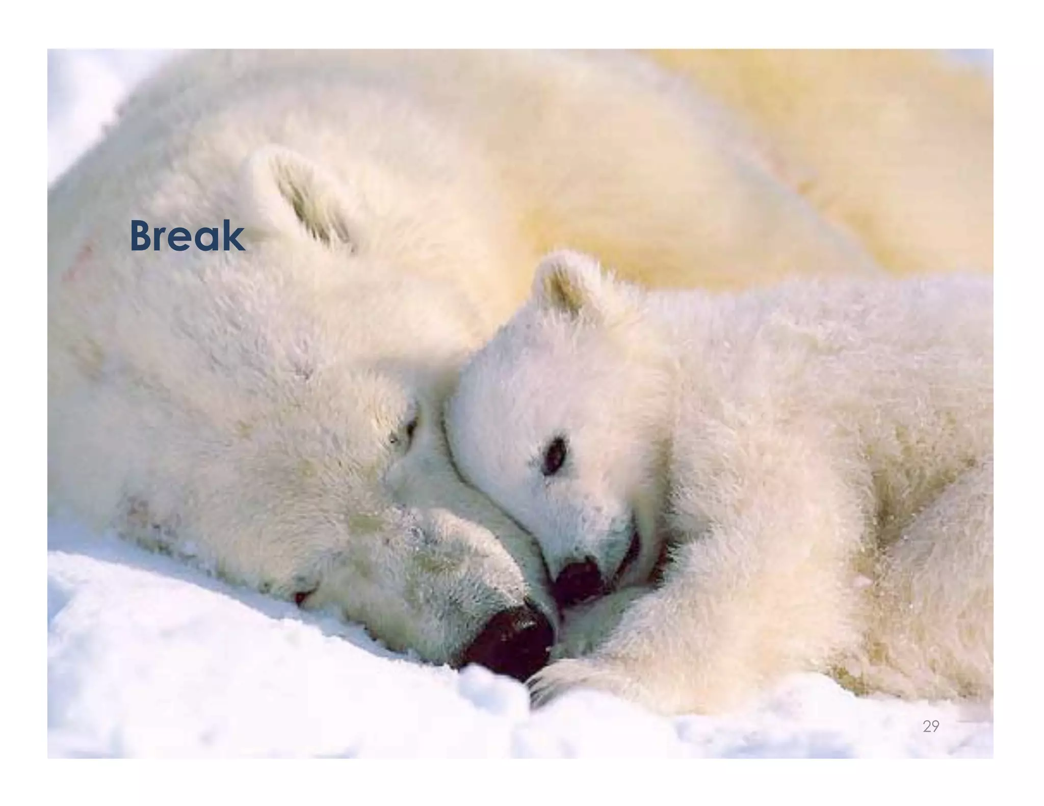 Break




        29
 