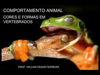 COMPORTAMENTO ANIMAL CORES E FORMAS EM VERTEBRADOS PROF. WILLIAN CESAR FERREIRA 