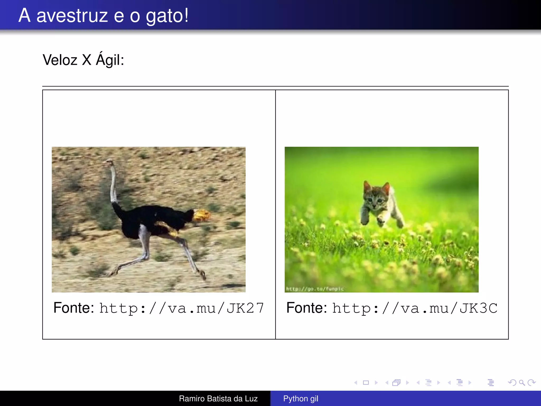 A avestruz e o gato! Veloz X Ágil: Fonte: http://va.mu/JK27 Fonte: http://va.mu/JK3C Ramiro Batista da Luz Python gil 