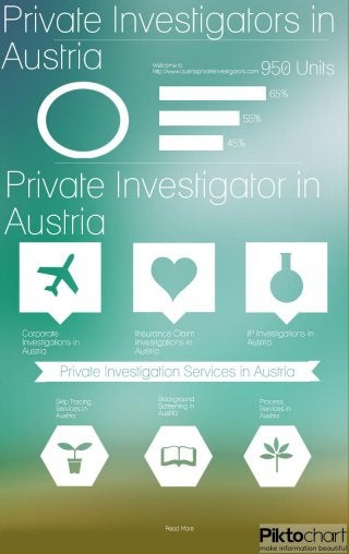 Private investigation services