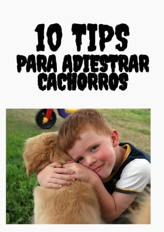 10 TIPS
PARA ADIESTRAR
CACHORROS
 