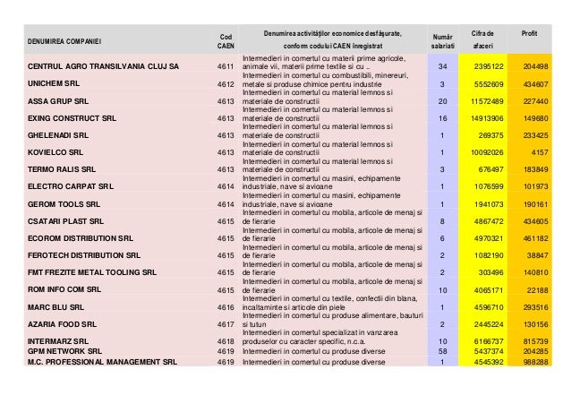 Index Caen Domeniile De PerformanÅ£Äƒ In Afaceri A Companiilor Clujene