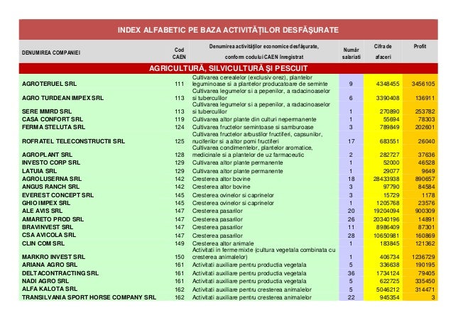 Index Caen Domeniile De PerformanÅ£Äƒ In Afaceri A Companiilor Clujene