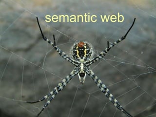 semantic web 