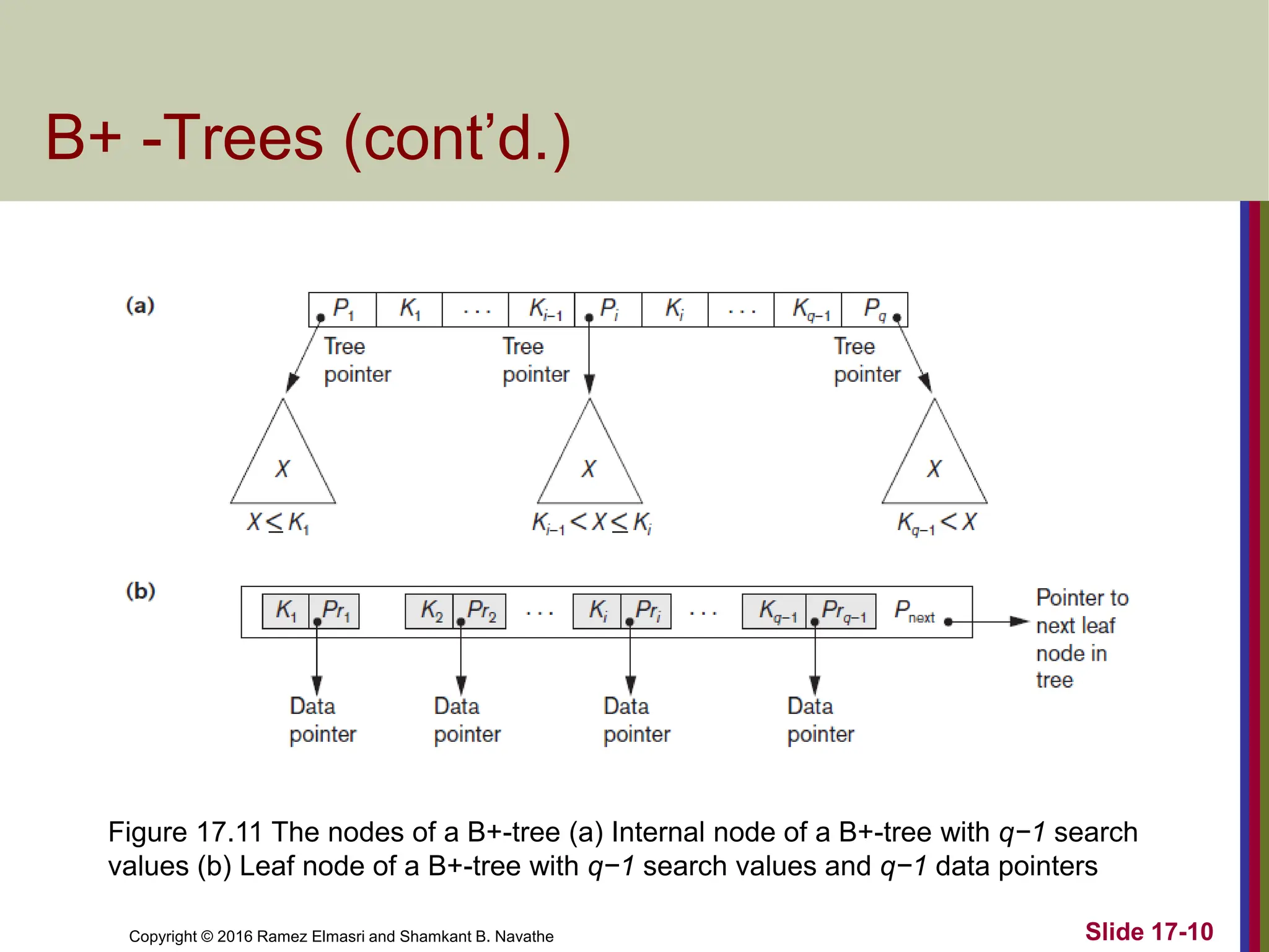Copyright © 2016 Ramez Elmasri and Shamkant B. Navathe
B+ -Trees (cont’d.)
Slide 17-10
Figure 17.11 The nodes of a B+-tree (a) Internal node of a B+-tree with q−1 search
values (b) Leaf node of a B+-tree with q−1 search values and q−1 data pointers
 