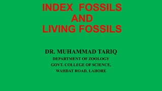 INDEX FOSSILS
AND
LIVING FOSSILS
DR. MUHAMMAD TARIQ
DEPARTMENT OF ZOOLOGY
GOVT. COLLEGE OF SCIENCE,
WAHDAT ROAD, LAHORE
 