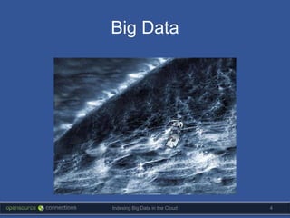 Big Data




Indexing Big Data in the Cloud   4
 