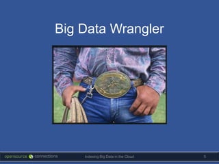 Big Data Wrangler




    Indexing Big Data in the Cloud   5
 