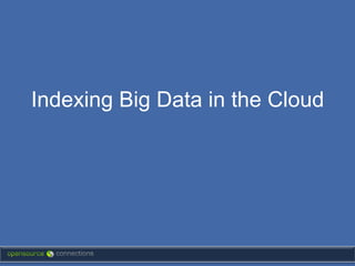Indexing Big Data in the Cloud
 