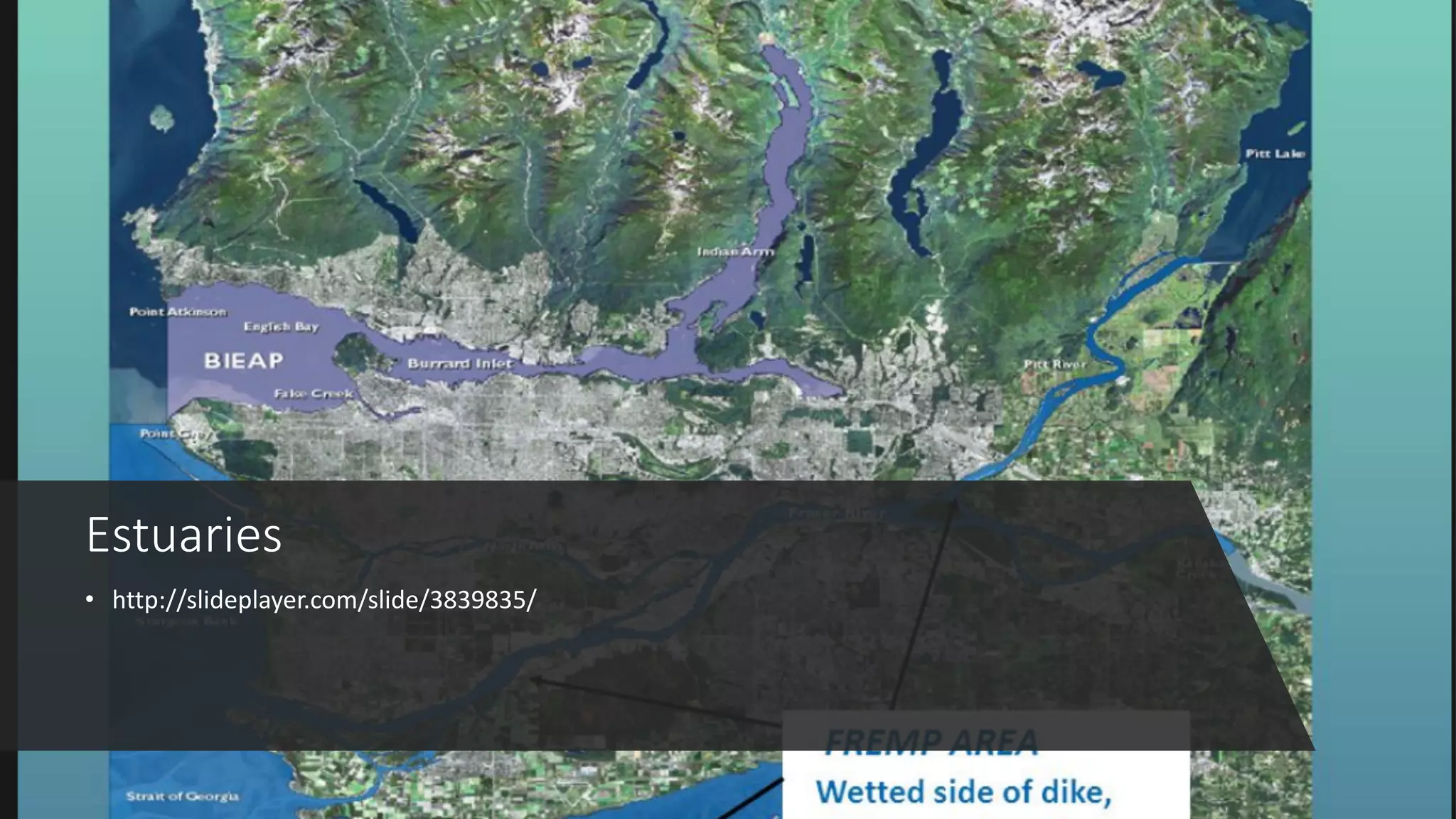 Estuaries
• http://slideplayer.com/slide/3839835/
 