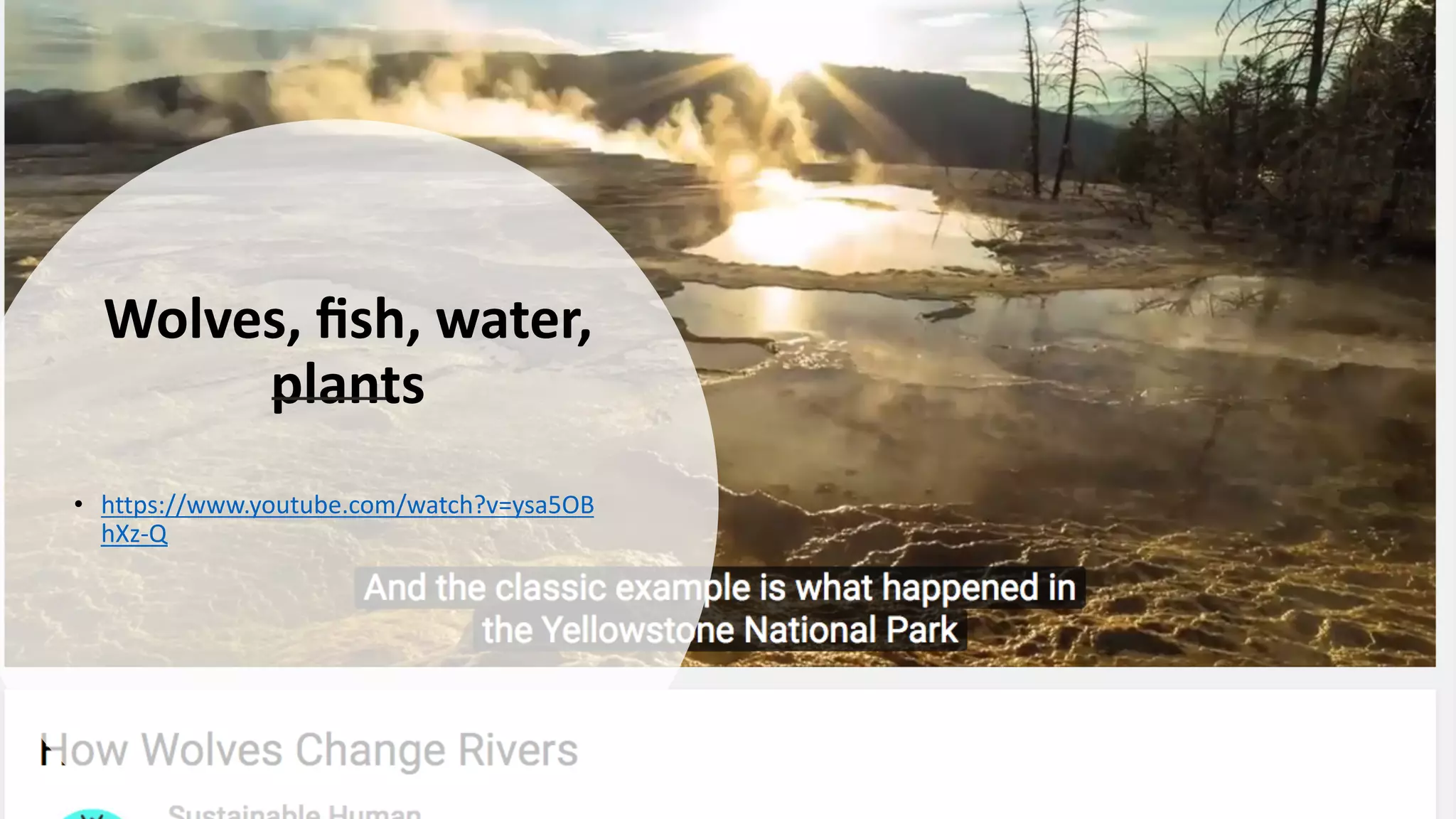 Wolves, ﬁsh, water,
plants
• https://www.youtube.com/watch?v=ysa5OB
hXz-Q
 