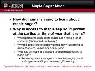 Maple Sugar Moon
§ How did humans come to learn about
maple sugar?
§ Why is access to maple sap so important
at the partic...