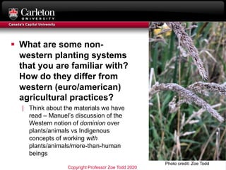 § What are some non-
western planting systems
that you are familiar with?
How do they differ from
western (euro/american)
...