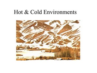 Hot & Cold Environments
 